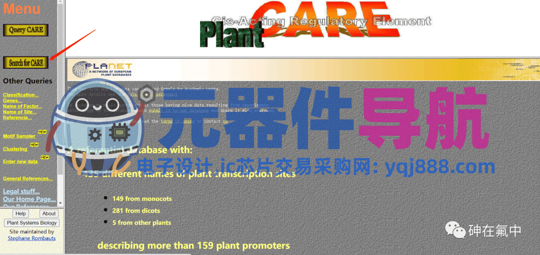 启动子顺式作用元件分析