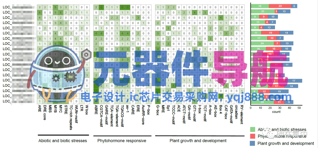 启动子顺式作用元件分析