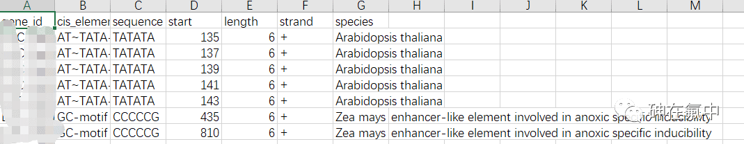 启动子顺式作用元件分析