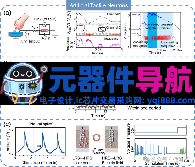 人工感知神经元器件的生理学基础、应用及挑战
