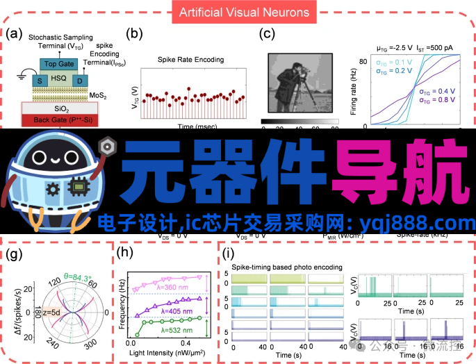 人工感知神经元器件的生理学基础、应用及挑战