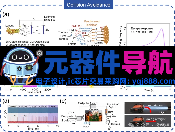人工感知神经元器件的生理学基础、应用及挑战