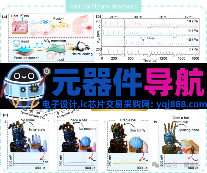 人工感知神经元器件的生理学基础、应用及挑战