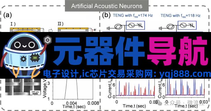 人工感知神经元器件的生理学基础、应用及挑战