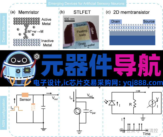 人工感知神经元器件的生理学基础、应用及挑战