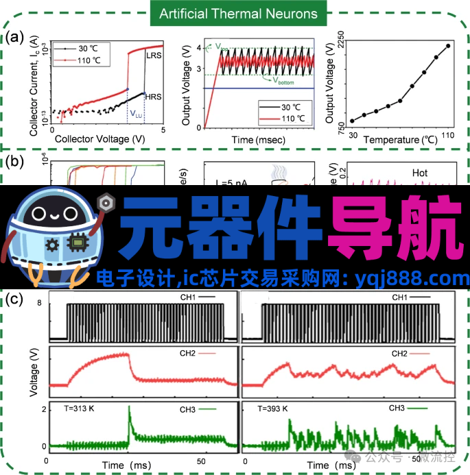 人工感知神经元器件的生理学基础、应用及挑战