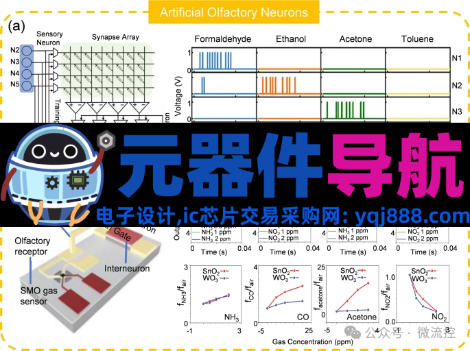 人工感知神经元器件的生理学基础、应用及挑战